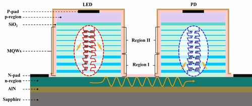 新成果展示 AlGaN基发光-探测双功能集成光电子器件模型的开发与应用